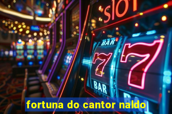 fortuna do cantor naldo